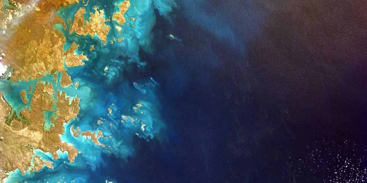 كيف يساهم التصميم المميز للتغليف في زيادة المبيعات ؟